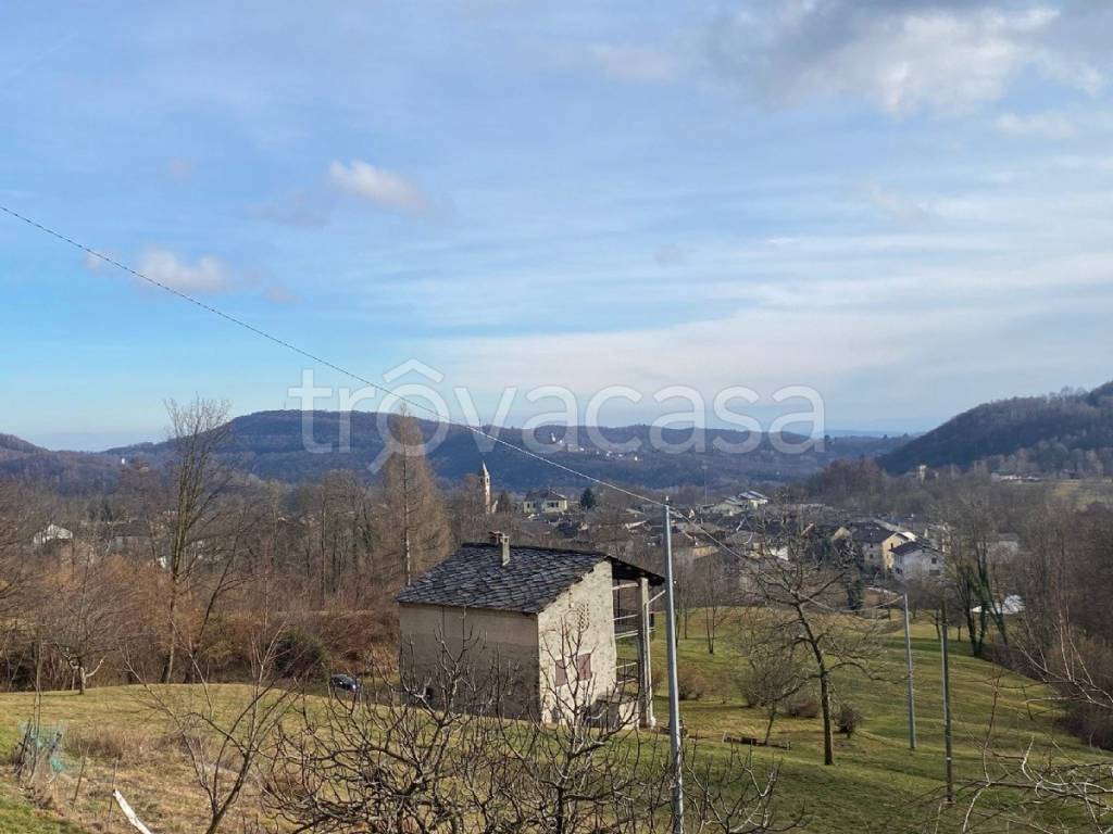 immagine annuncio 2 di 11