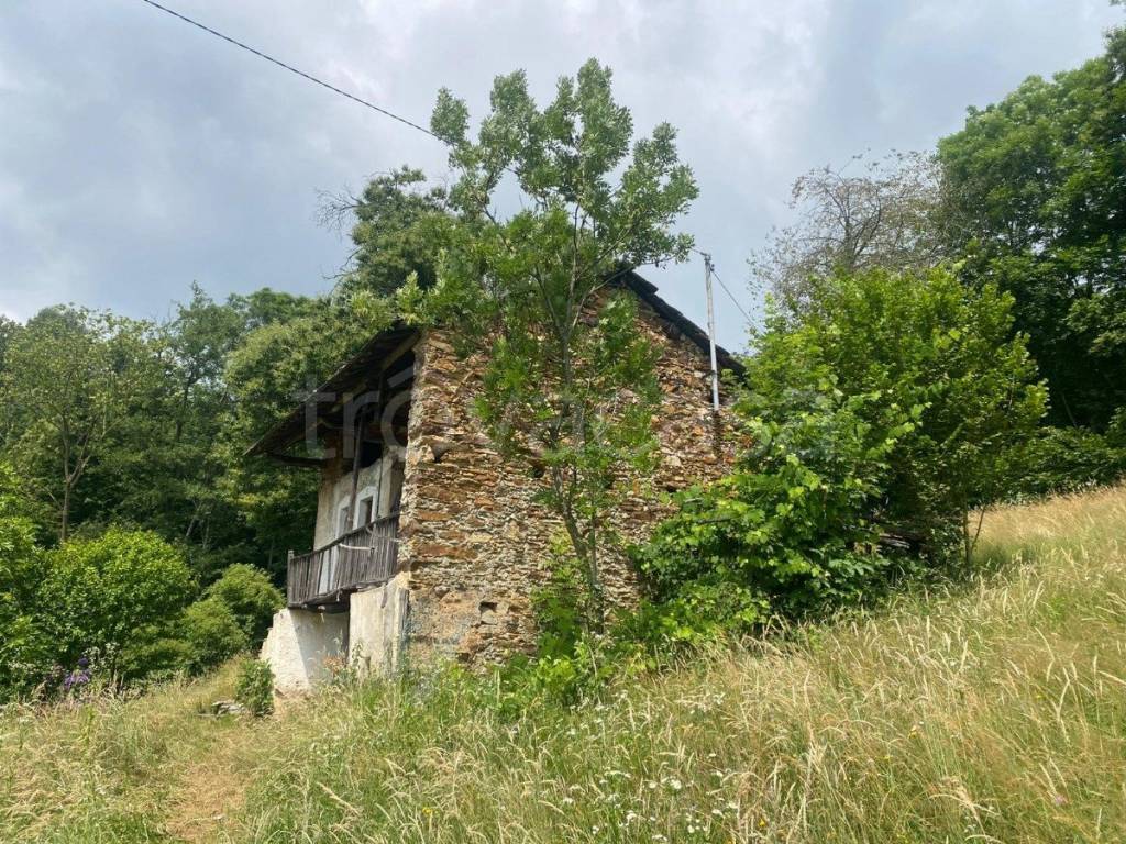 immagine annuncio 3 di 11