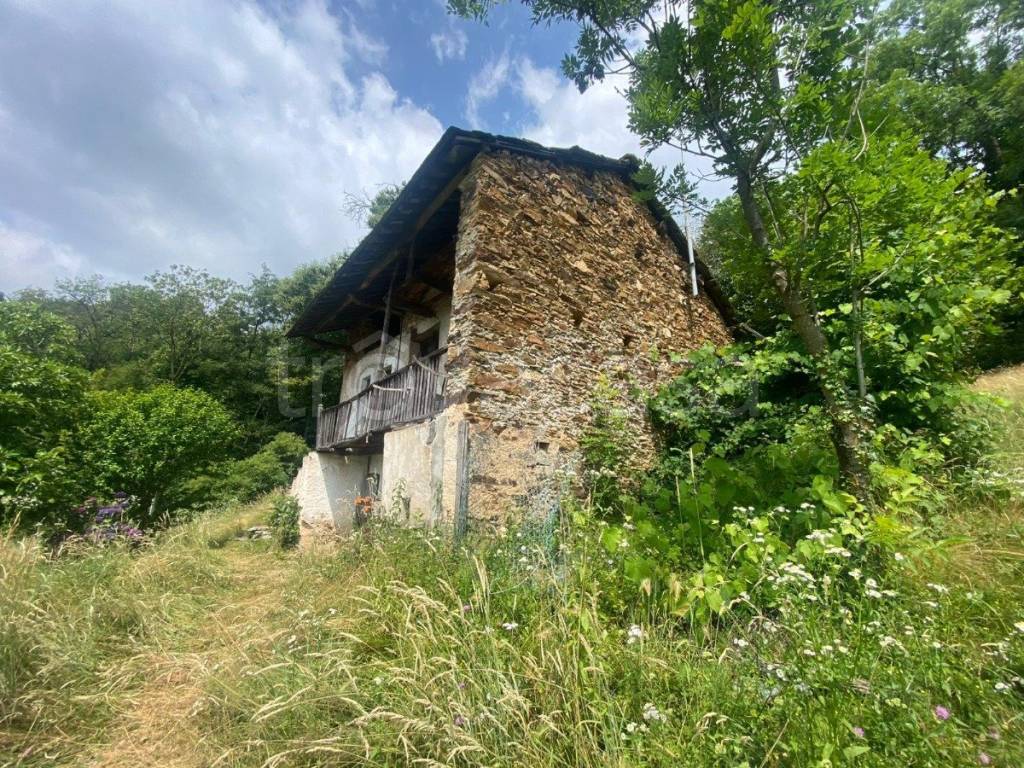 immagine annuncio 4 di 11