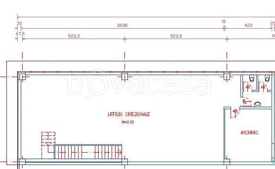 immagine annuncio 9 di 11