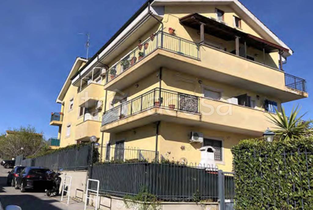 immagine annuncio 4 di 11