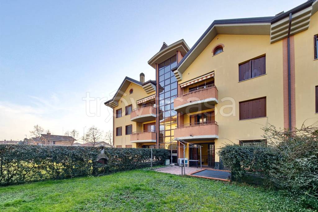 immagine annuncio 8 di 15