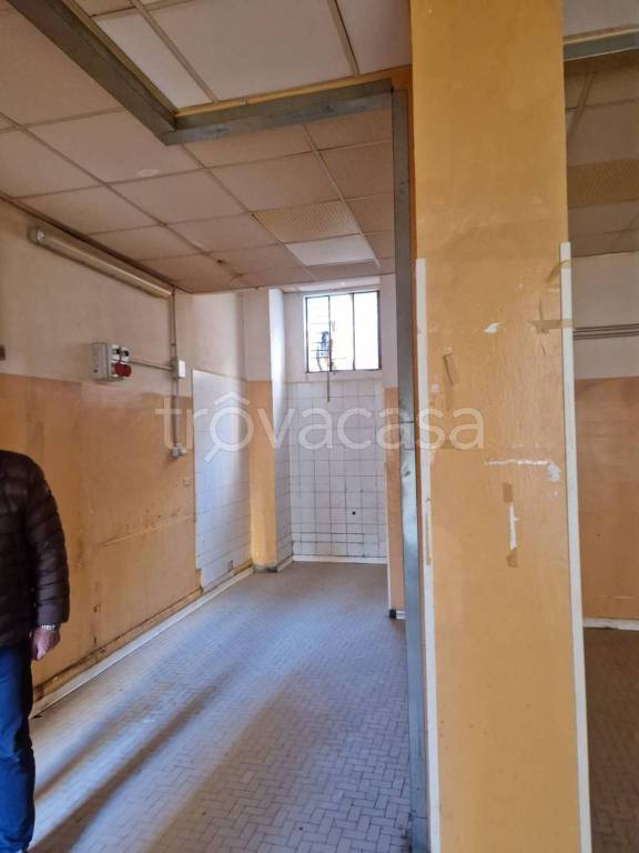 immagine annuncio 5 di 13