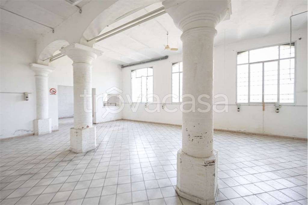 immagine annuncio 3 di 12