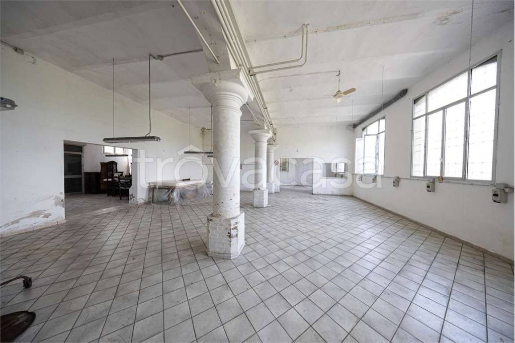 immagine annuncio 5 di 12