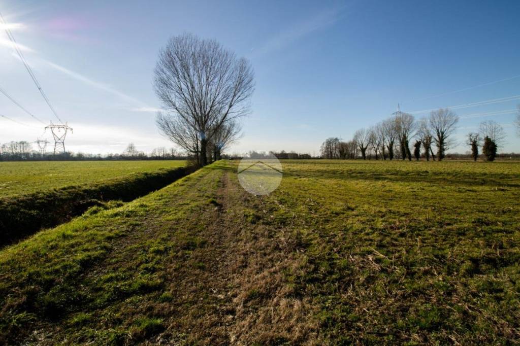 immagine annuncio 10 di 14