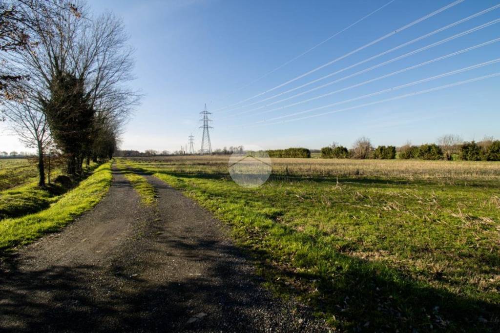 immagine annuncio 11 di 14