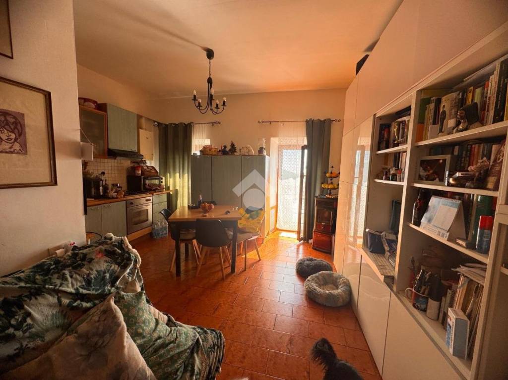 immagine annuncio 5 di 8