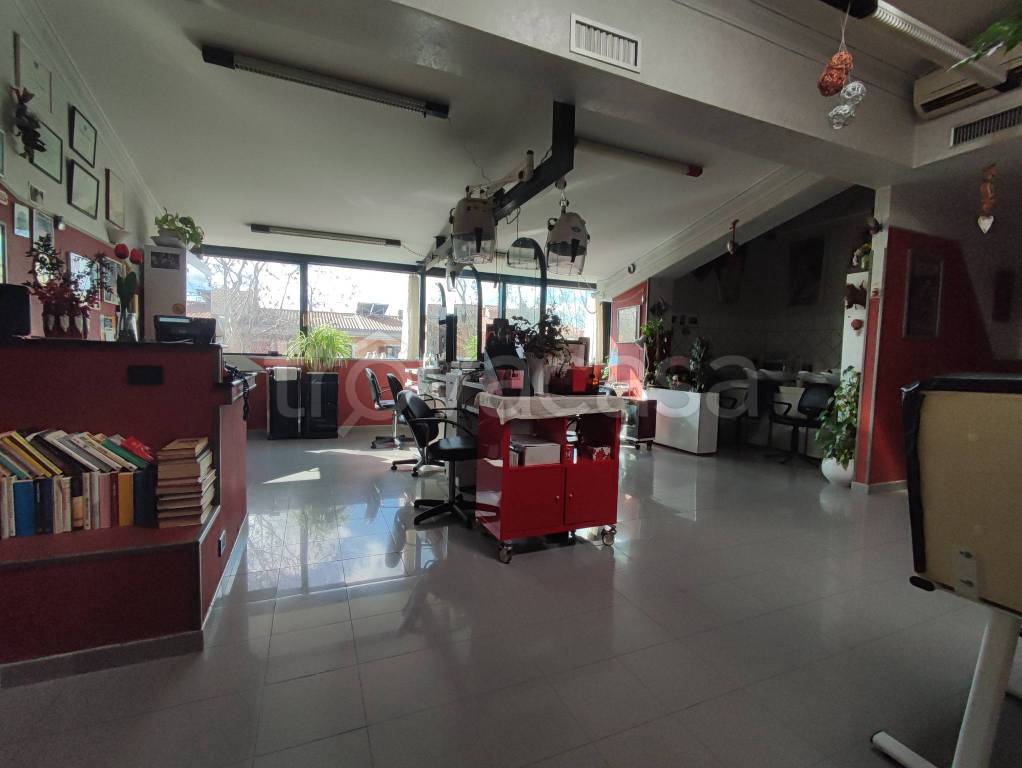 immagine annuncio 10 di 15