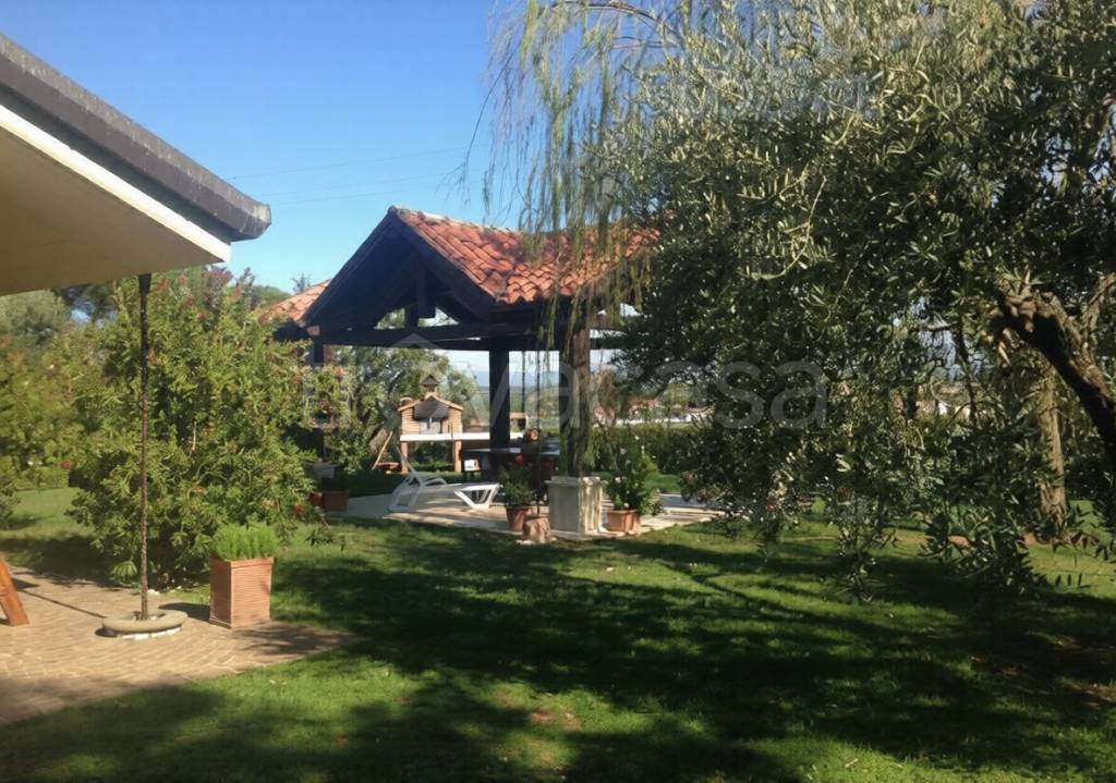 immagine annuncio 1 di 2