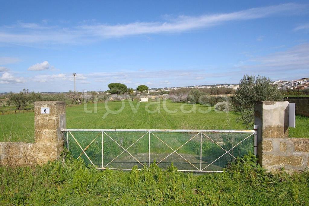 immagine annuncio 8 di 15