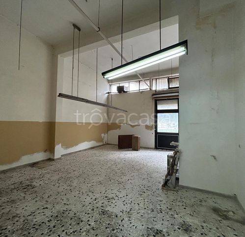 immagine annuncio 2 di 7