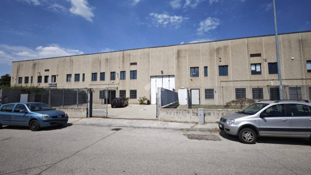 immagine annuncio 11 di 15