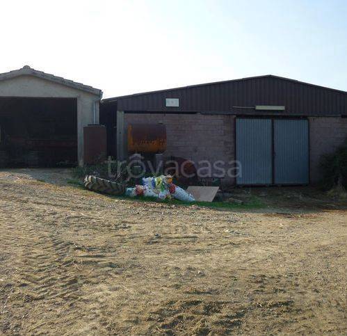 immagine annuncio 2 di 12