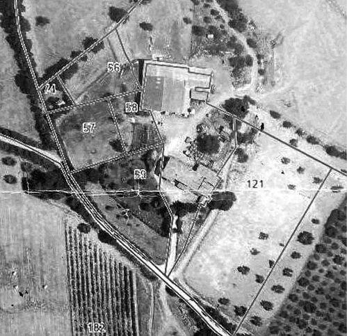 immagine annuncio 9 di 12