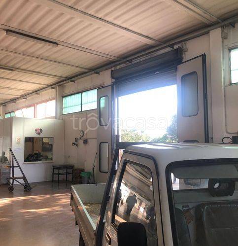 immagine annuncio 2 di 9