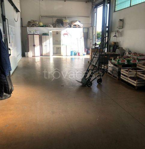 immagine annuncio 3 di 9