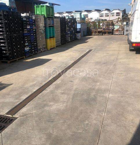 immagine annuncio 4 di 9