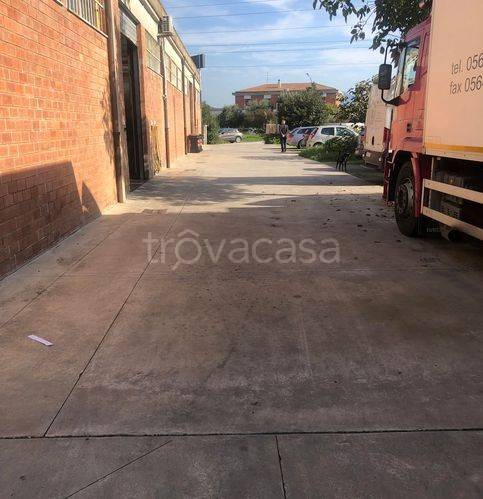 immagine annuncio 5 di 9