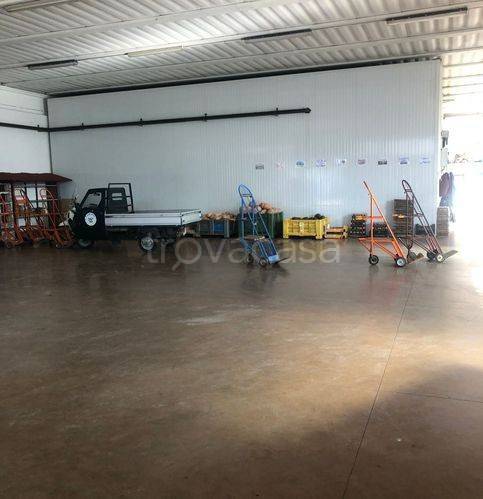 immagine annuncio 6 di 9