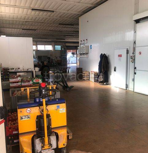 immagine annuncio 7 di 9