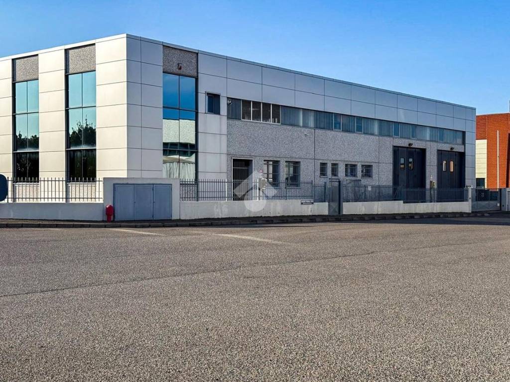 immagine annuncio 12 di 15