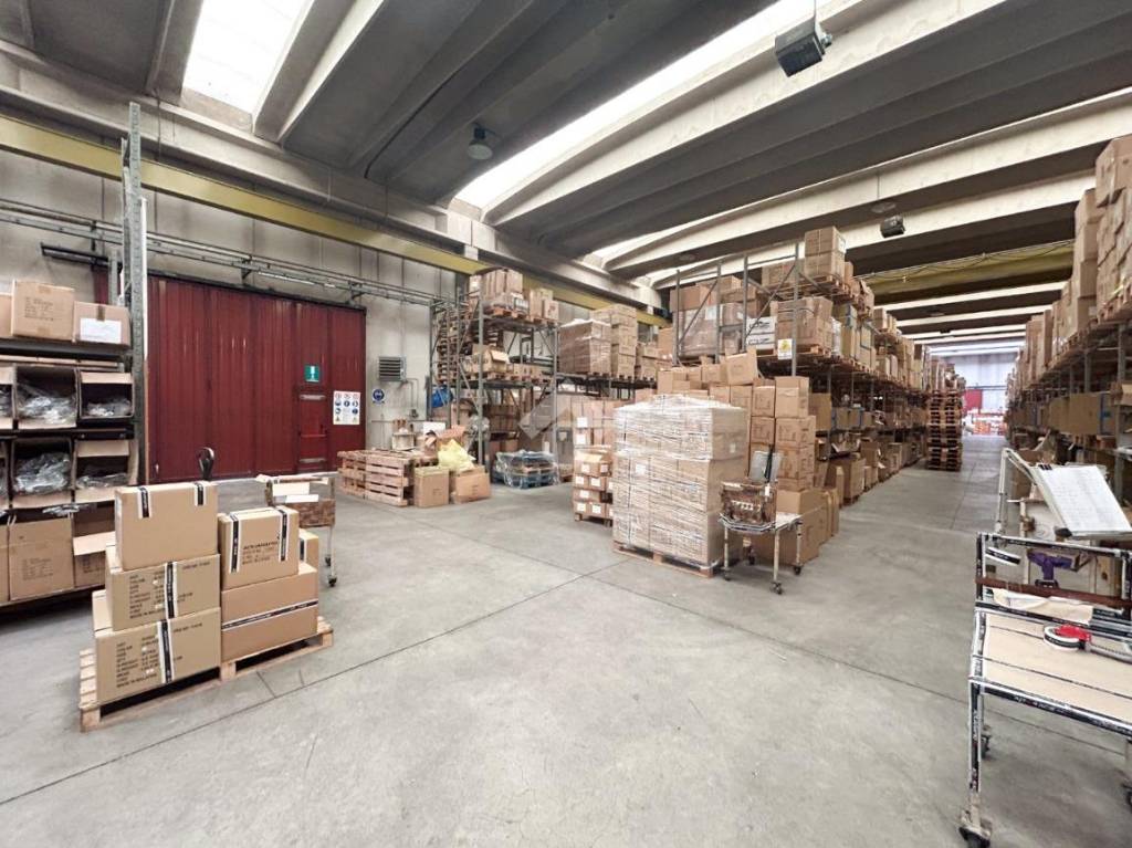 immagine annuncio 5 di 15