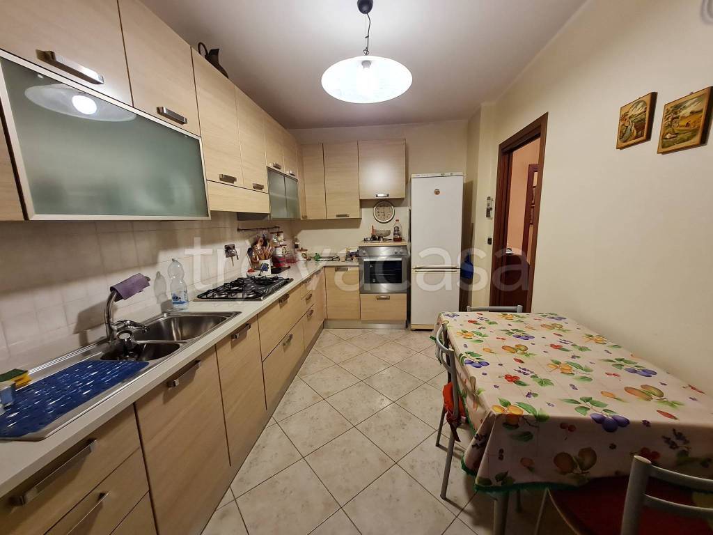 immagine annuncio 5 di 15