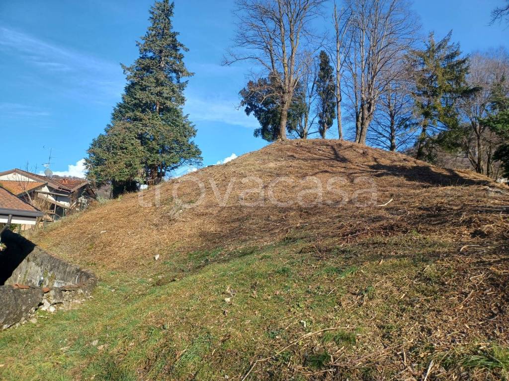 immagine annuncio 3 di 11