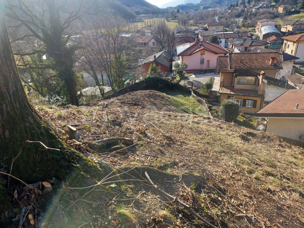 immagine annuncio 1 di 11