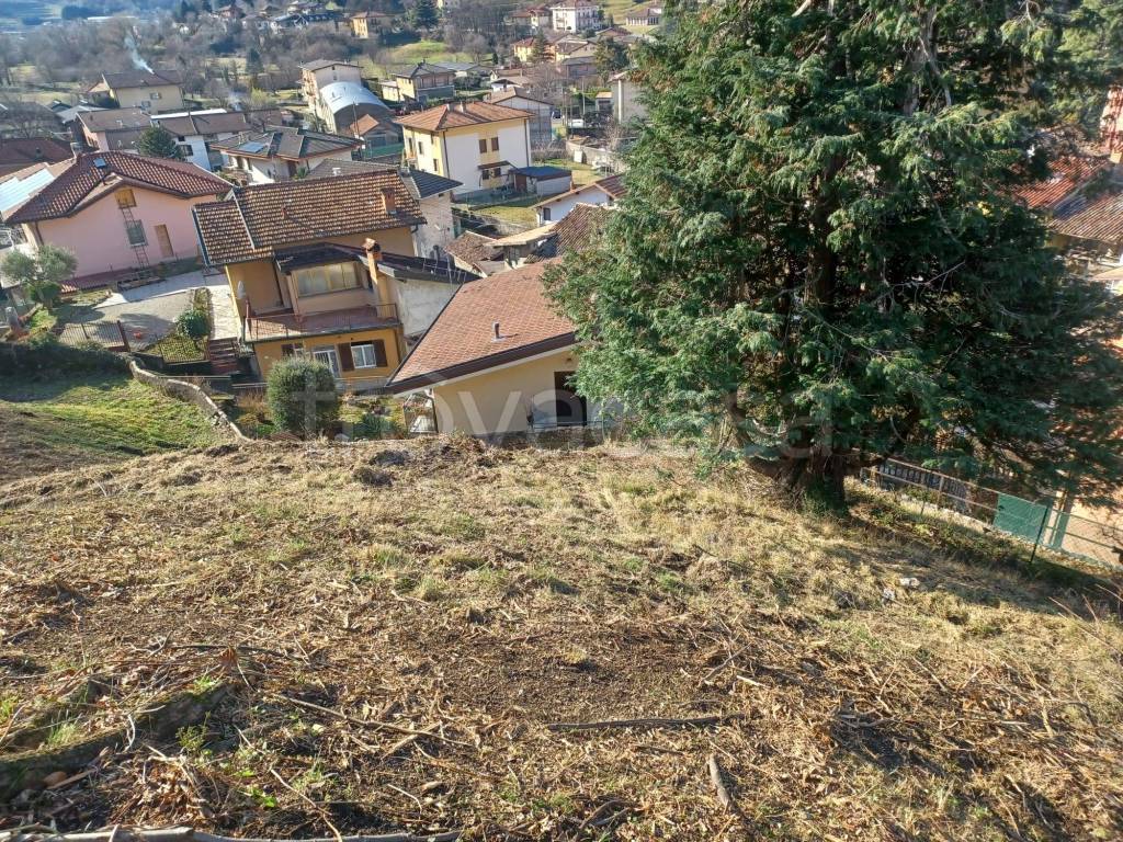 immagine annuncio 4 di 11