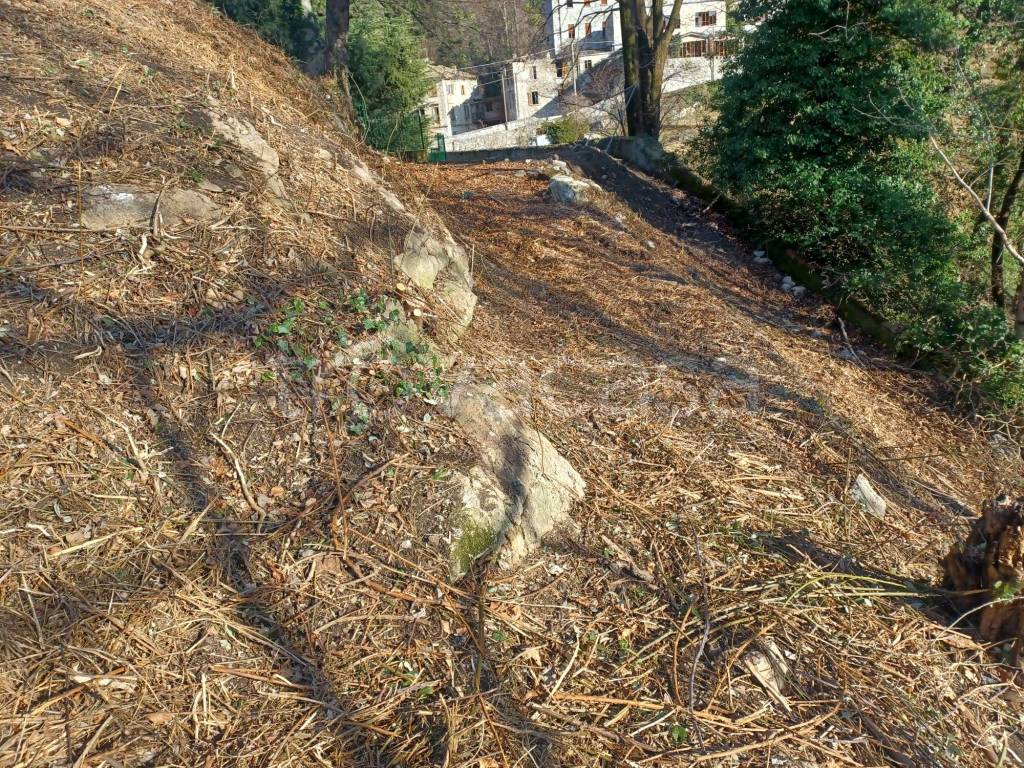 immagine annuncio 5 di 11