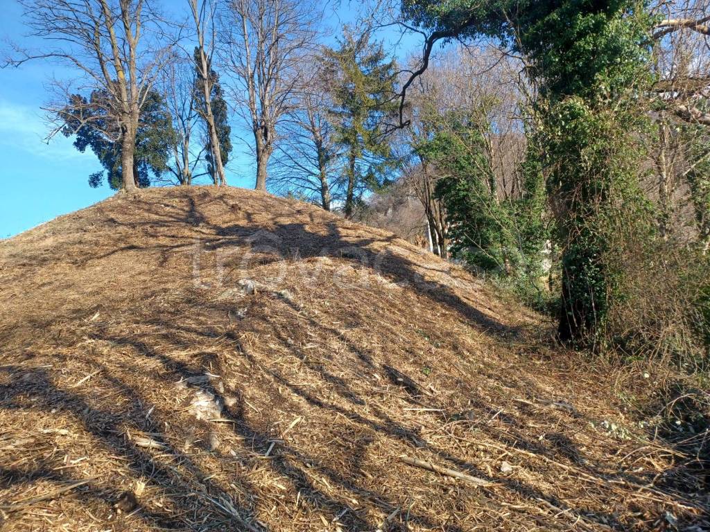 immagine annuncio 6 di 11