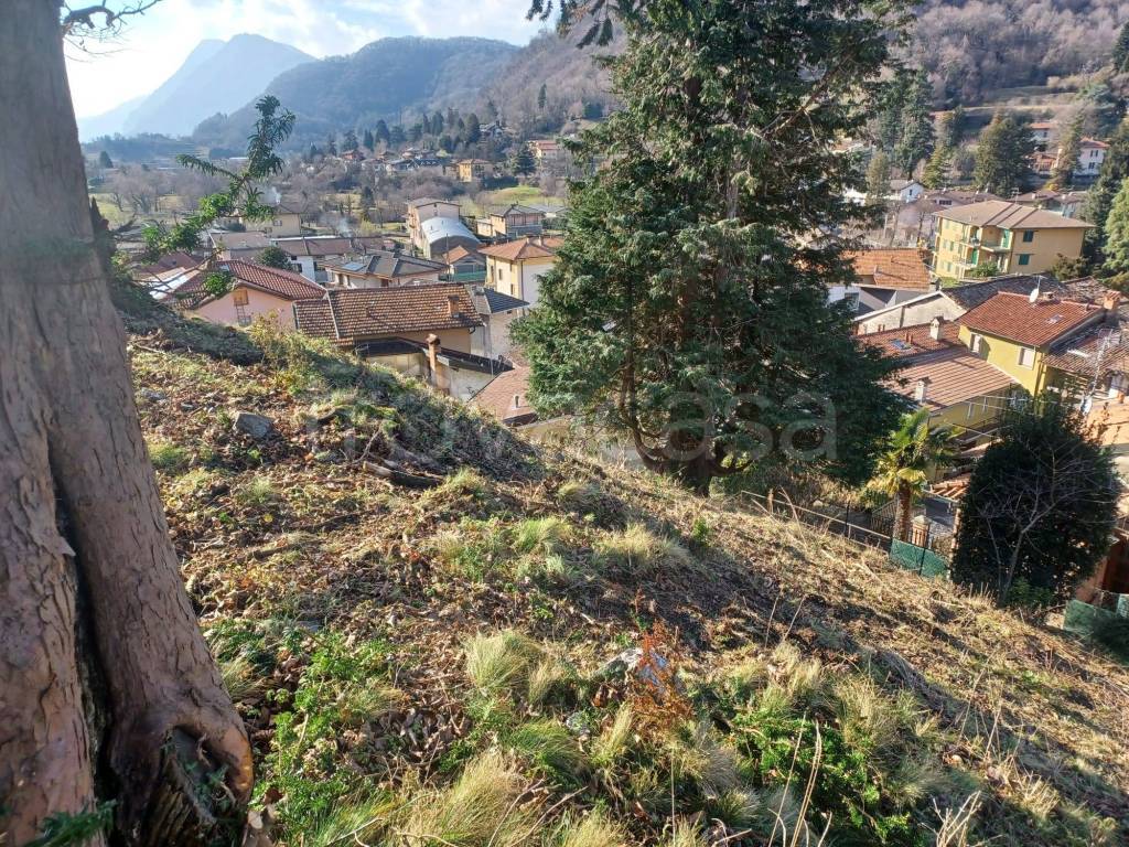 immagine annuncio 2 di 11