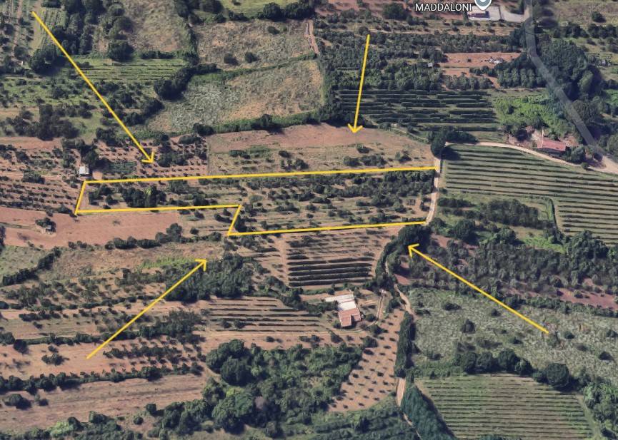 immagine annuncio 1 di 7