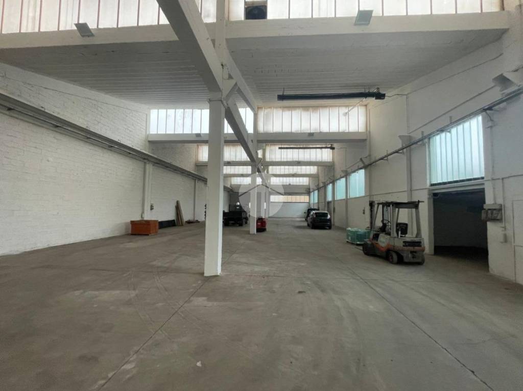 immagine annuncio 5 di 12