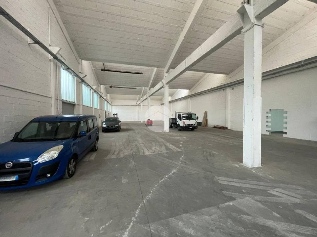 immagine annuncio 6 di 12