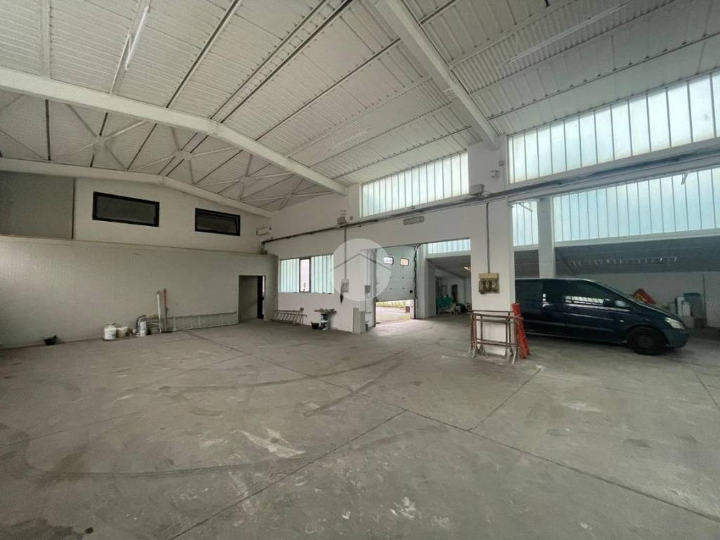 immagine annuncio 7 di 12