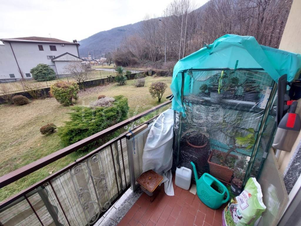 immagine annuncio 9 di 11