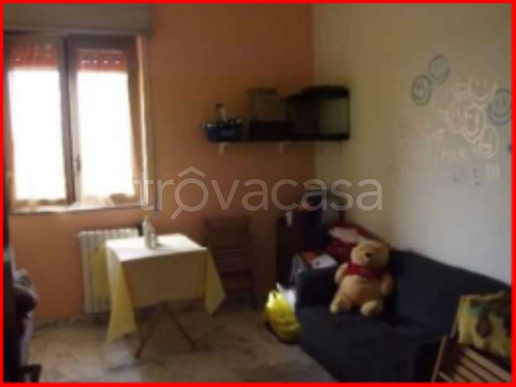 immagine annuncio 9 di 14