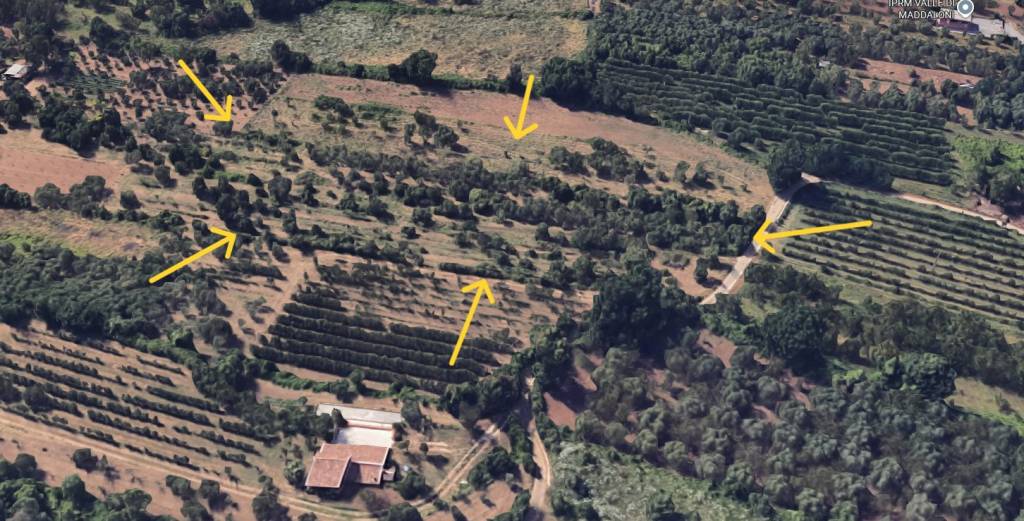 immagine annuncio 6 di 7