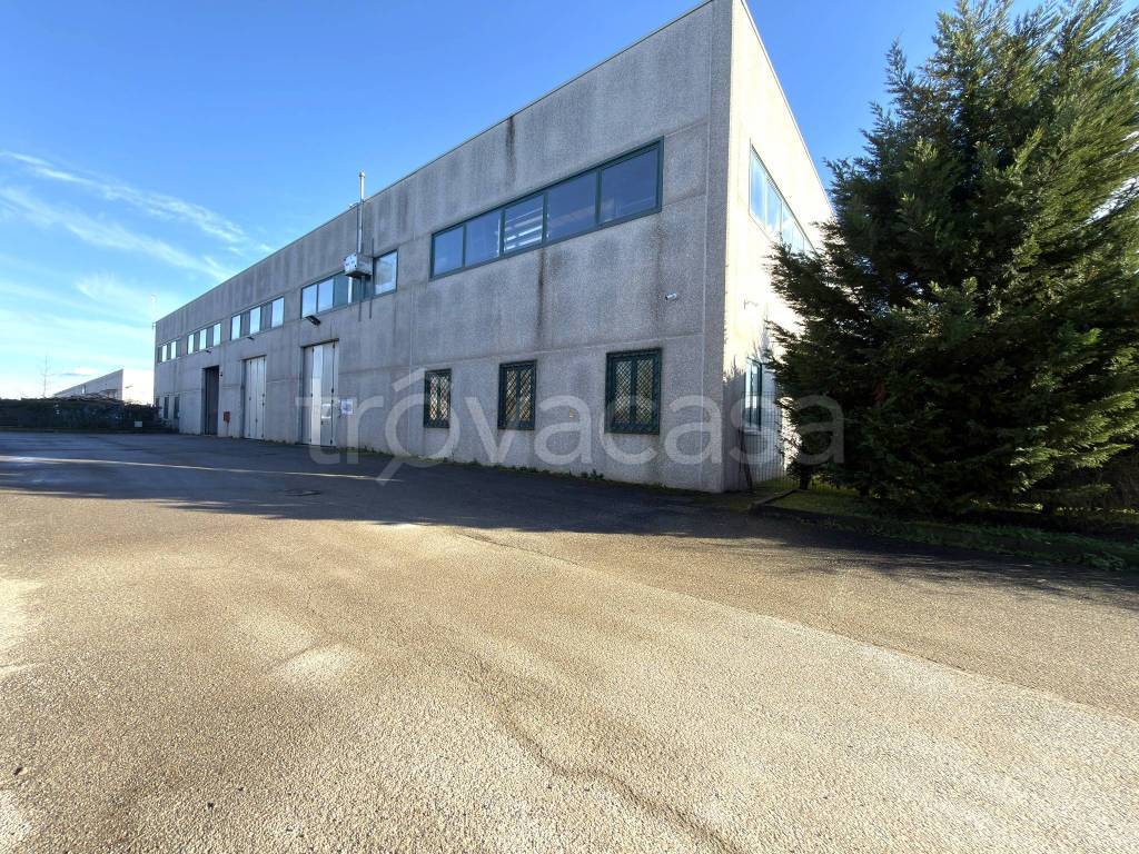 immagine annuncio 1 di 13