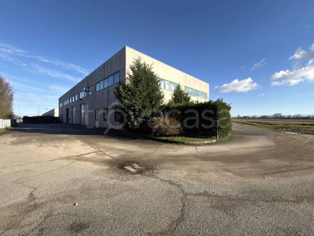 immagine annuncio 2 di 13