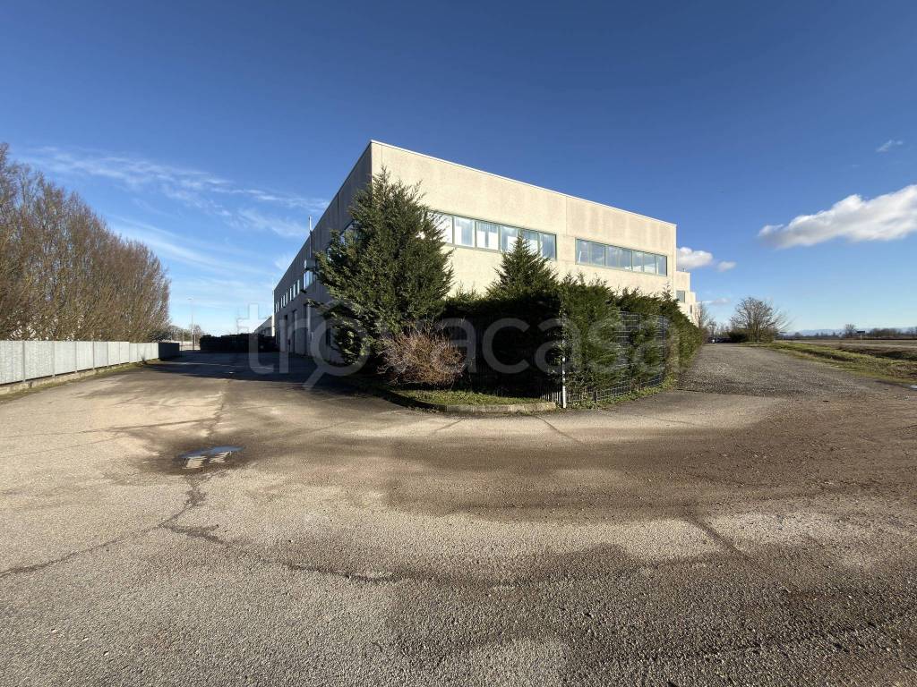 immagine annuncio 3 di 13