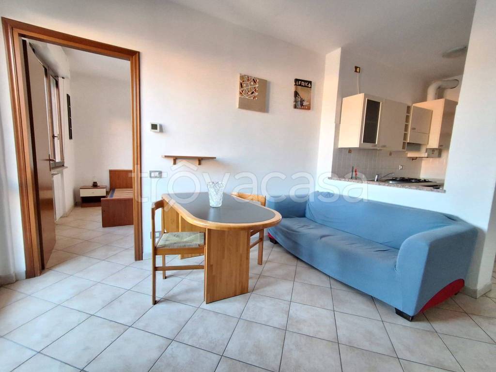 immagine annuncio 7 di 15