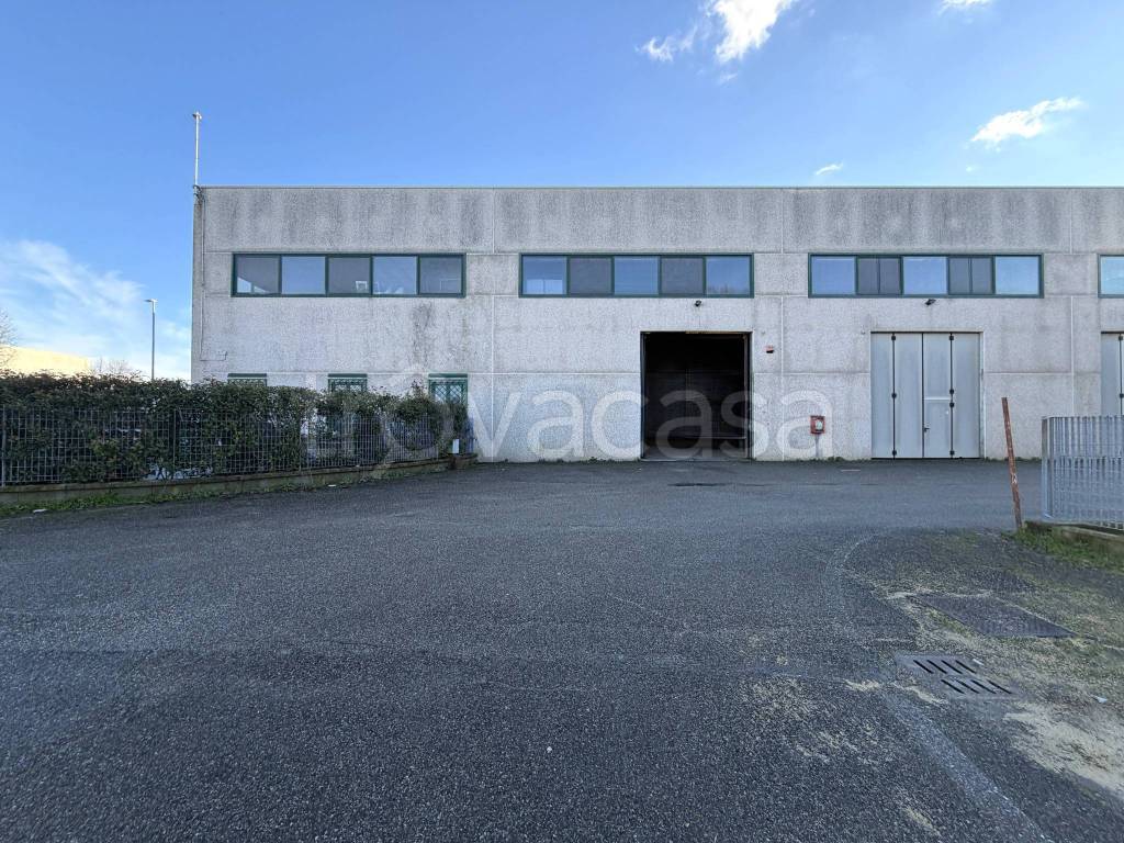 immagine annuncio 9 di 13