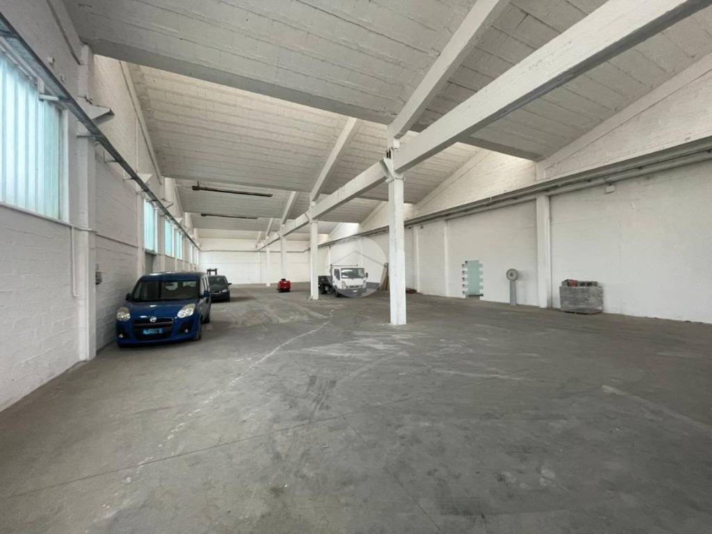 immagine annuncio 9 di 10