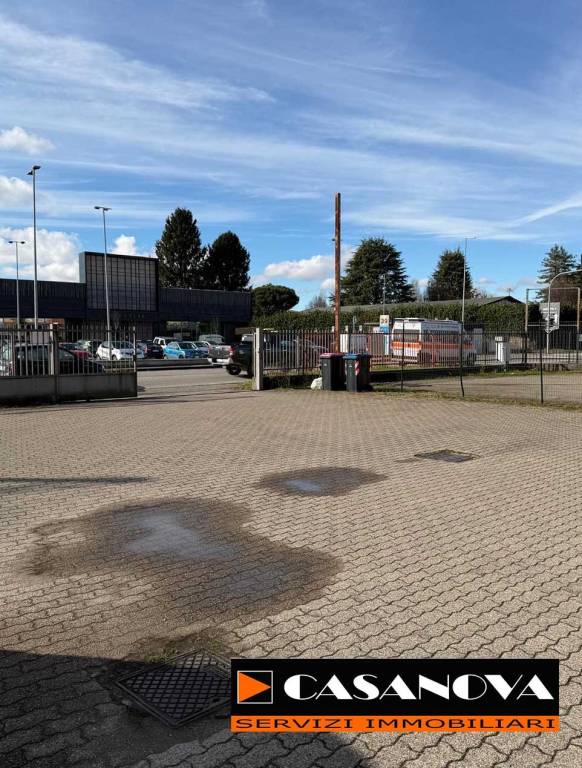 immagine annuncio 6 di 15