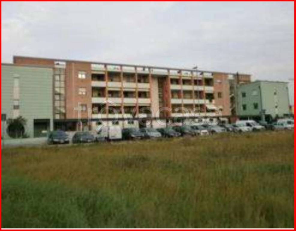 immagine annuncio 3 di 13