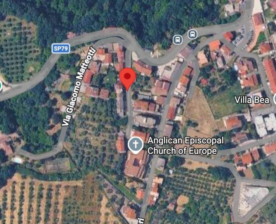 immagine annuncio 10 di 11